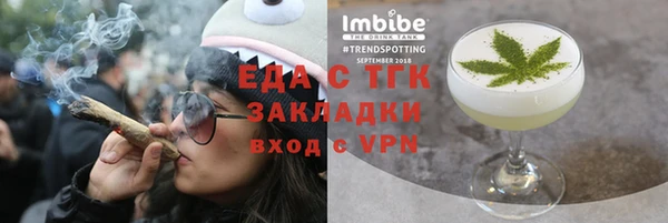 индика Алексин