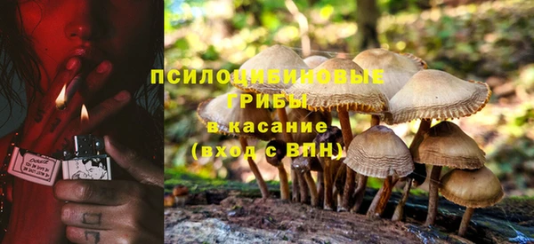 дмт Армянск