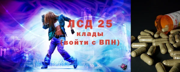 индика Алексин