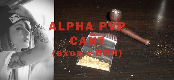 индика Алексин