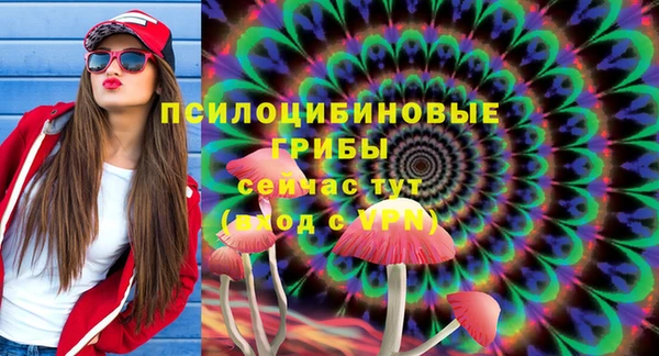 дмт Армянск