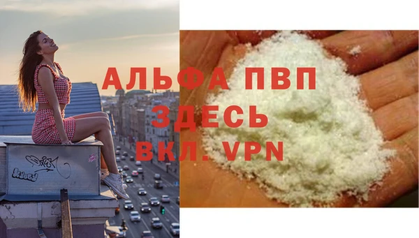 apvp Алзамай